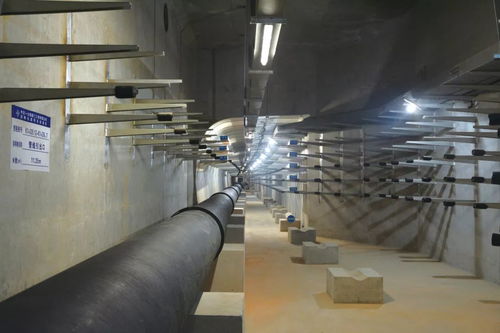 喜訊 公司四項目榮膺中國交建優質工程獎，彰顯市政建設卓越實力