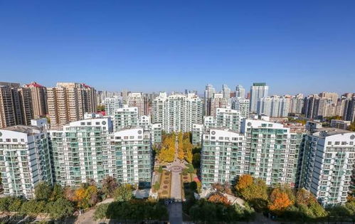 又一大佬折戟房地產(chǎn) 開發(fā)樓盤爛尾多年，被限制高消費(fèi)19次